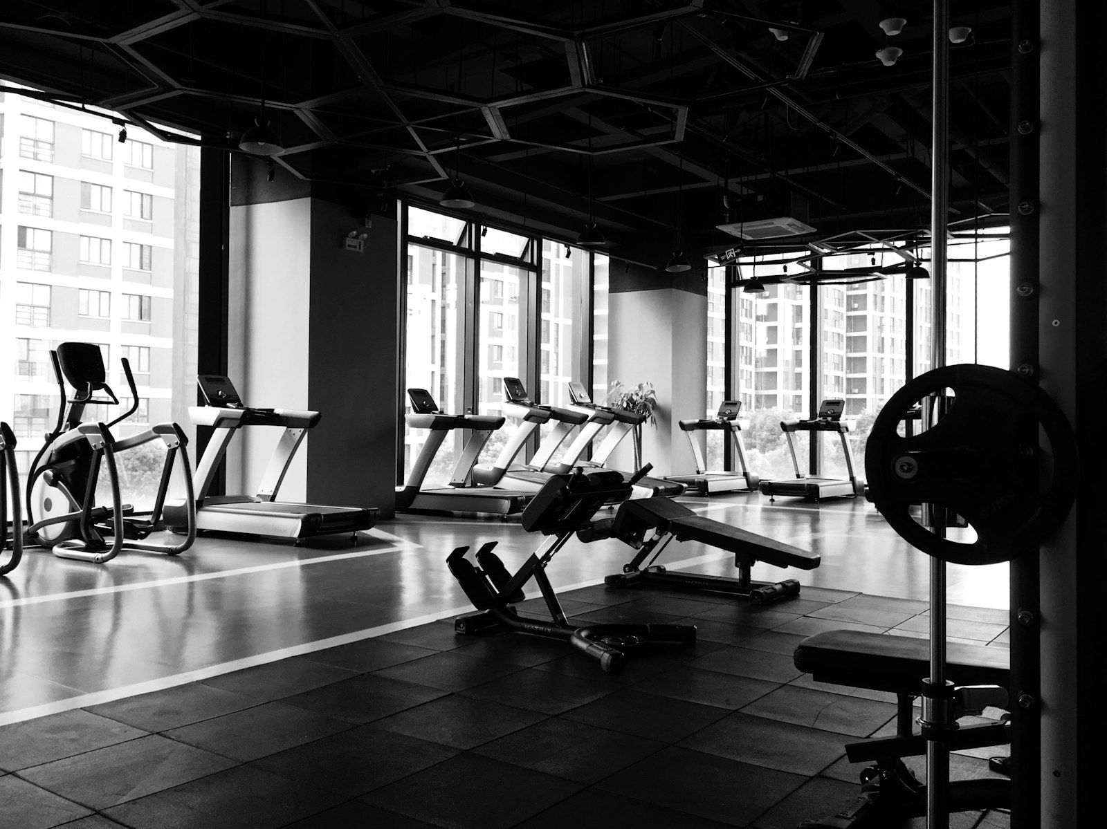 Home gym with weights and cardio equipment in a converted garage